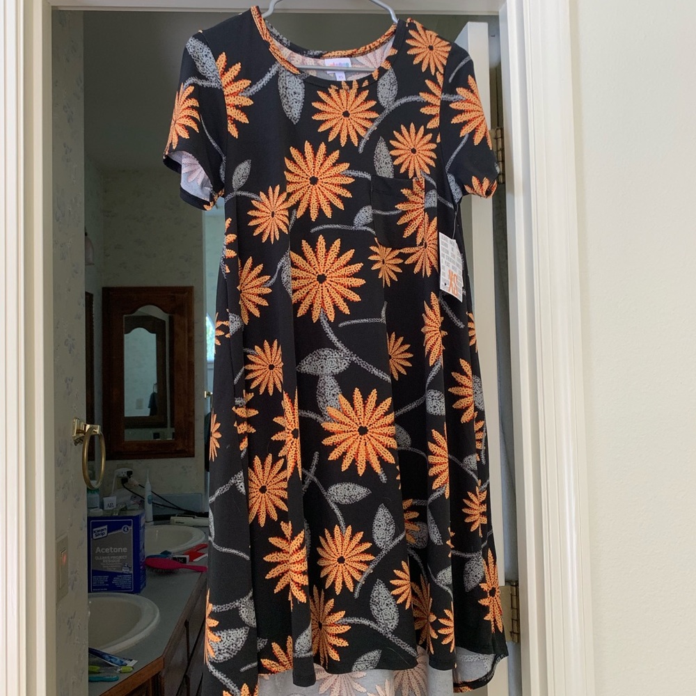 NWT XS Lularoe Carly dress